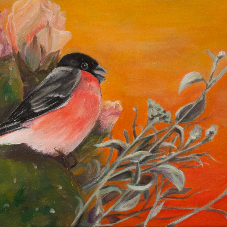 bird bullfinch sitting on a prickly pear at sunset